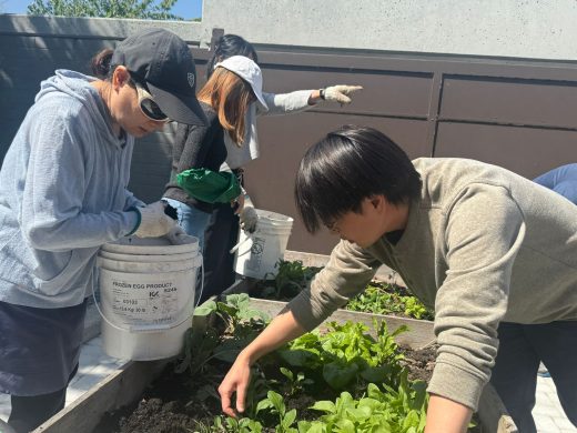 Summer Gardening: <br>Sowing Seeds in Your Mind