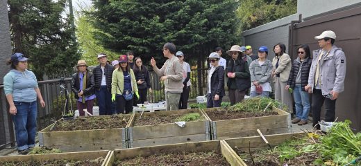 SOWING SEEDS IN YOUR MIND 2026
